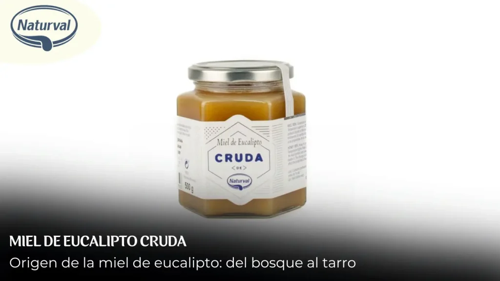 origen miel de eucalipto